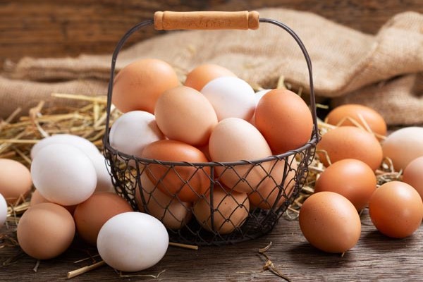 تصویر 3 از خرید تخم مرغ صادراتی + قیمت فروش استثنایی